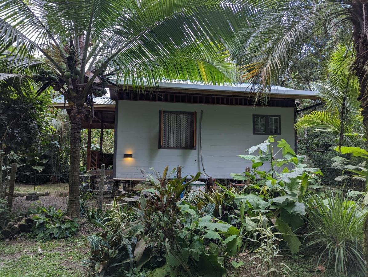 הוילה קוקלס Casita Bribri At Margarita Hills מראה חיצוני תמונה